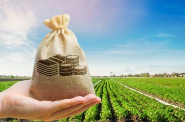 Money bag on the background of agricultural crops in the hand of the farmer. Agricultural startups. Profit from agribusiness. Lending and subsidizing farmers. Grants and support. Land value and rent.