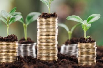 panoramic shot of golden coins with green leaves and soil, financial growth concept