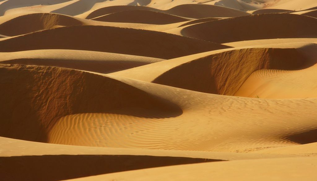 Light and shadow on beautiful dunes. Wahiba sands desert (Sharqiyah sands). Oman